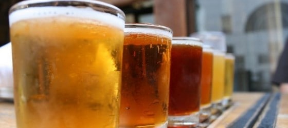 A line of beers in a glass